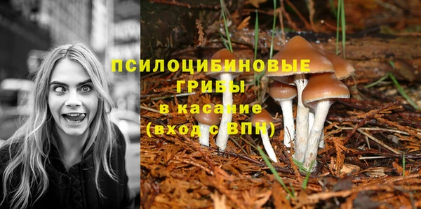 молекула духа Балабаново