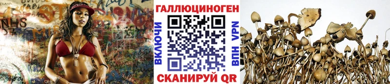 Галлюциногенные грибы Psilocybe Шарья